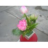 Plastic Artificial Lotus Flower with White Square Procelain Pot