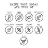 Maine Root Hand Crafted Blueberry Soda, 12 fl oz (24