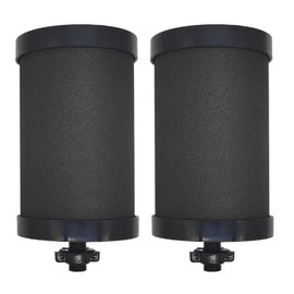 2387 Filter Replacement,for Alexapure Water Filter Replacement,Compatible with Alexapure Pro Water Filtration System - 2 Pack Black