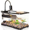 (Tank + Light +Pump + Filter + Filter Balls) Turtle