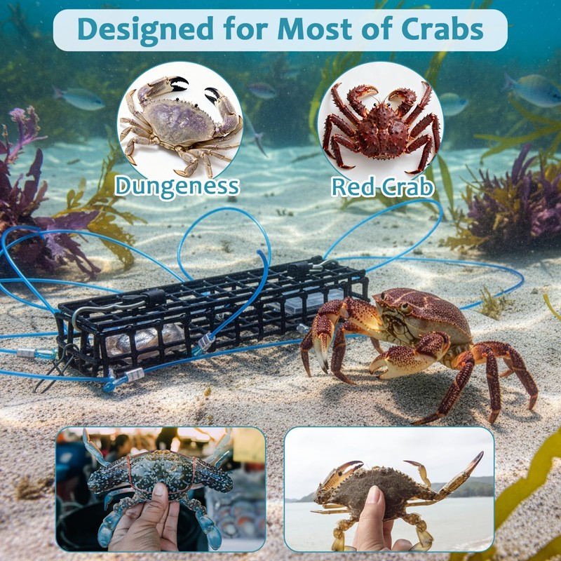 Therwen 2 Pack 10 Loop Crab Trap 6 Inch Length