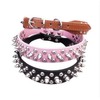 Leather Spiked Studded Dog Collar 1" Wide Protecting Daring Pets