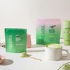 PerfectTed Matcha Protein Powder | 18g Protein Per Serving |