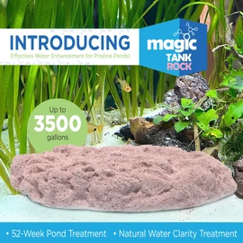 Magic Tank Rock, Fish Tank Rocks for Enhancing Water Clarity with Your Regular Cleaning Routine, Fish Friendly Aquarium Rocks, All Natural Aquarium Decor, Small, Up to 750 Gallons