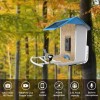 Bird Smart AI Recognition Bird Feeder HD Streaming Video Solar