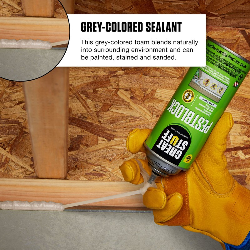 Great Stuff Pestblock 12 oz Insulating Foam Sealant, Gray
