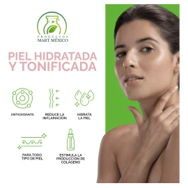 Productos Mart Mexico Agua De Rosas Hidratante Con Aloe Vera 10 Litros