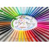 Faber-Castell Castle 554202 Felt Tip Pens Pack of 24 in