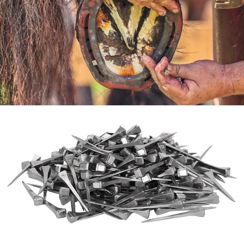 250pcs High Quality Horseshoe Nails E3 Equestrian Sport Equipment for
