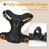 PWOD No Pull Dog Harness with 2 Leash Clips, Reflective