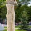 UOIENRT 4 Rolls Natural Jute Burlap Tree Wraps, 4.72 Inch