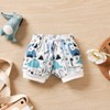Preemie - Conjunto de 3 piezas de ropa de verano