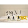 CULTURE & NATURE Reed Diffuser Set 6.7oz (200ml) Eucalyptus Pine