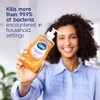 Dial Complete Antibacterial Liquid Hand Soap, Gold, 11 fl oz