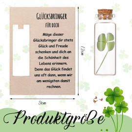 Hestya Lucky Charm Gifts Real Four Leaf Clover in Glass for Colleague Girlfriend Gift Idea for Any Occasion Wish Filler Gifts for Christmas Birthday Wedding Mother's Day