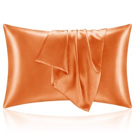 BEDELITE Satin Pillowcase with Zipper 2 Pack, Burnt Orange Pillow Cases Standard Size, Super Soft and Cooling Similar to Silk Pillow Cases, Gift for Women Men(20x26 Inches)