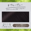 Liese Kao Bubble Hair Color - Blue Gray for Black