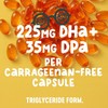 Vegan Omega 3 DHA: Algae Oil, Most Reviewed, Carrageenan Free,