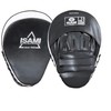 ISAMI TS FS-10 Punching Mitt