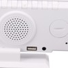 FM Radio LED Digital Smart Alarm Clock LED Digital Projection