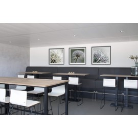 STAS picture hanging (ceiling) system: STAS u-rail black 150 cm (59"") + installation kit