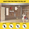 Harris Roach Glue Traps, 2-Pack, for Residential and Commercial Use