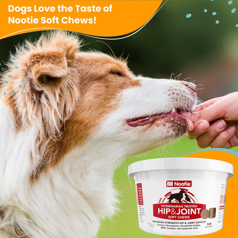 Nootie Maximum Strength Hip & Joint Soft Chews for Dogs