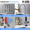 Fapully Kitchen Faucet with Pull Down Sprayer,Commercial Single Handle Kitchen