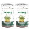 Hello Green Domestic Jeju Barley Sprout Pills 300g / 헬로우그린
