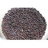 Black Mustard Seeds - 100g