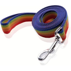 Nylon Dog Leash 4 Ft 5 Feet 6 Foot Long, Walking Training Dog Leashes for Medium Large Dogs, 1 Inch Wide (1" X 6 ft, Rainbow)