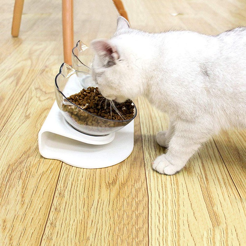 Luck Dawn Cat Elevated Bowl with Raised Stand, 15 Degree