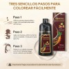 Kaisasa 2 Pzs Shampoo Con Tinte Cubre Canas Matizador