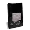 SleepyNights Black Fitted Bed Sheet Egyptian Cotton Hotel Quality King