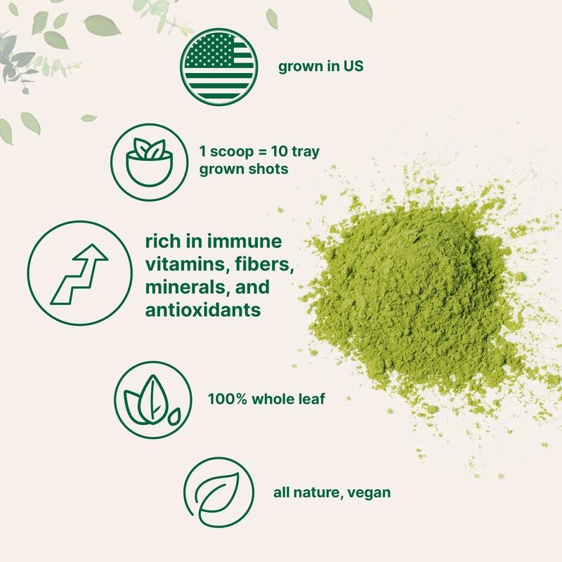 Micro Ingredients Organic Wheat Grass Powder