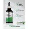 Horbäach Liquid Chlorophyll Drops | 2 fl oz | Natural