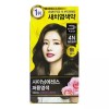 Mijonsen 미장센 샤이닝 에센스 염색 4N 짙은갈색 Missha Shining Essence