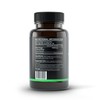 Shroomex® Organic Chaga Mushroom Supplement | Verified World's Most Potent