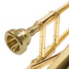 Litoexpe 1 Pcs Trombone Mouthpiece Small Shank 12C, Trombone Instrument