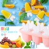Zaloife Ice Lolly or Popsicle Moulds, Set of 6, LFGB