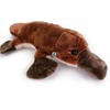 Platy Platy Cuddly Toy Ant Hedgehog Platypus Plush Toy