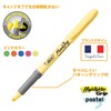 Bic Japan BRIGBKPSTGRN Highlighter, Marking Highlighter Pastel, Green, Pack of