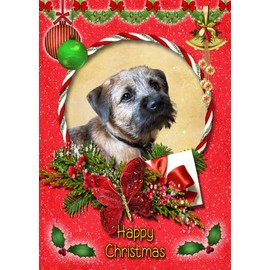 Border Terrier Dog Christmas Card Red 'Happy Christmas' - Special Animal Xmas Card for Him Her from Pets Kids