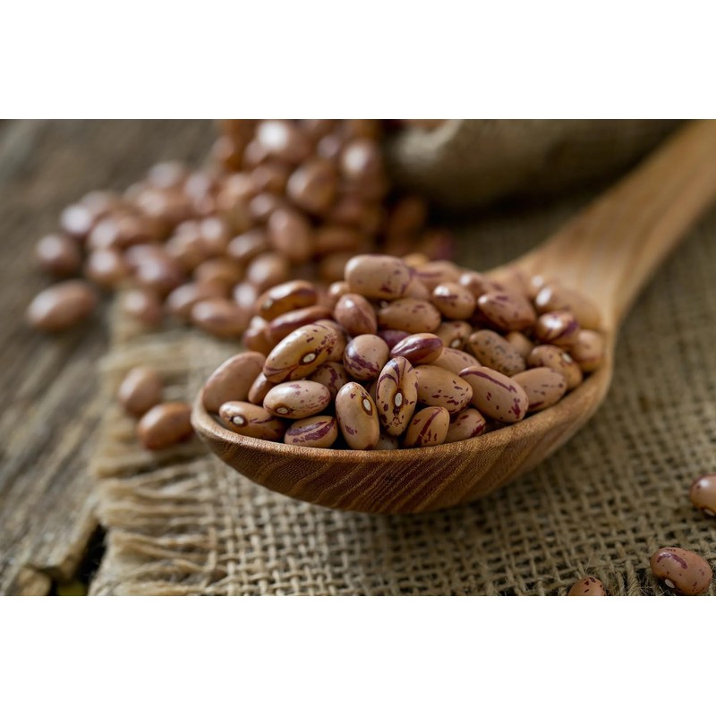 Organic Pinto Beans 500g