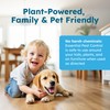 BugMD Ant Spray – Insect & Pest Spray Indoor Safe