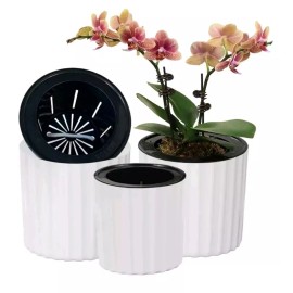 Unbranded 3Pcs, 2 Sizes, Orchid Pot With Net And Holes, Self Watering Plant Pot, White