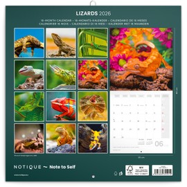 NOTIQUE Wall Calendar 2026 Lizard Calendar, Brochure Calendar with Monthly Calendar, Brochure Calendar Scented Calendar 30 x 30 cm (30 x 60 Open)