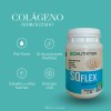 Sqflex Colágeno Hidrolizado Con Glucosamina 2 Botes