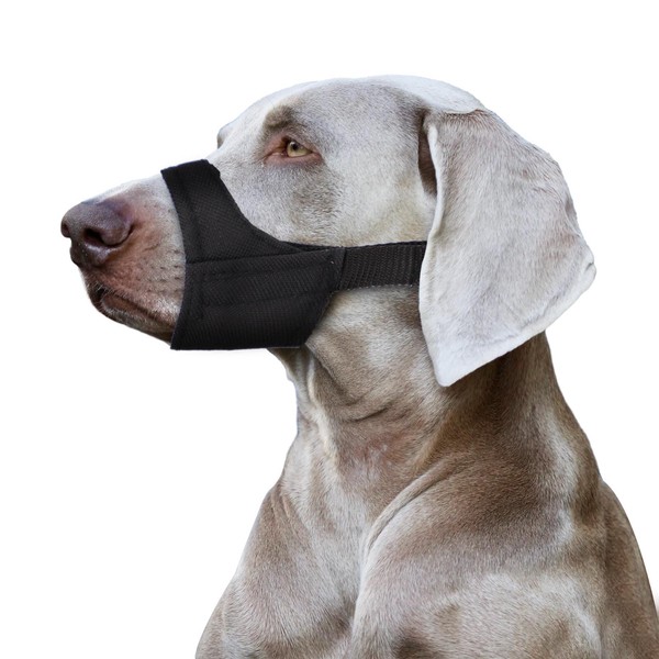 Short Snout Dog Muzzle, Dog Muzzle for Small and Medium