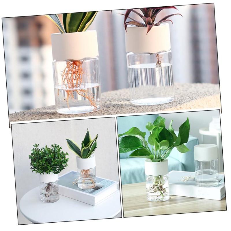 Totority 4Pcs Clear Pots Versatile Plastic Planters for Hydroponic Semi